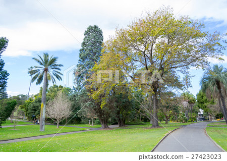 Walking in the Royal botanical gardens 27423023