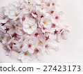 櫻花 27423173