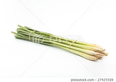 檸檬草：檸檬草 27425589