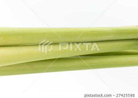 檸檬草:檸檬草 檸檬草:檸檬草 27425598