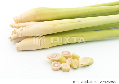 檸檬草：檸檬草 27425600