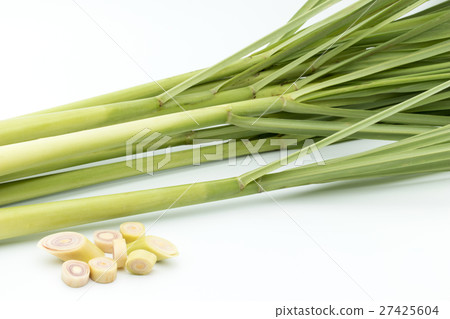 檸檬草：檸檬草 27425604