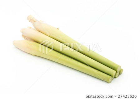 Lemon grass: Lemon grass Lemon grass: Lemon grass 27425620