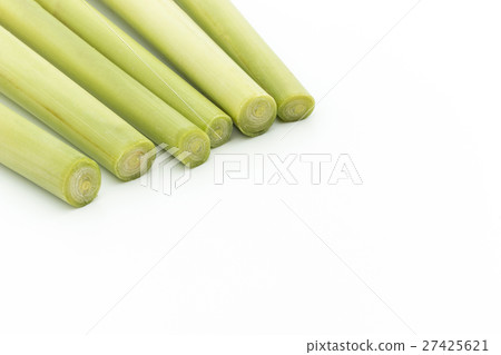 檸檬草：檸檬草 27425621