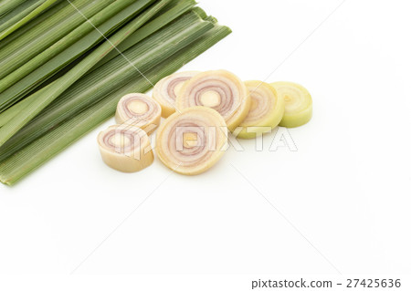 檸檬草：檸檬草 27425636