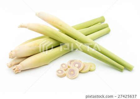 檸檬草：檸檬草 27425637