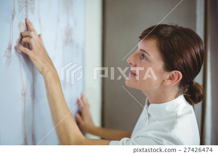 Physiotherapist examining skeleton sketch on white board 27426474