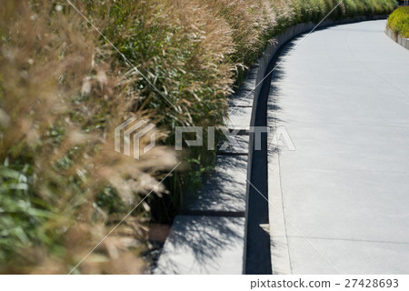 View of crop in the field with pathway 27428693
