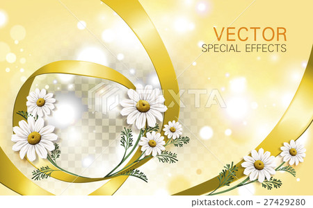 chamomile flower background 27429280