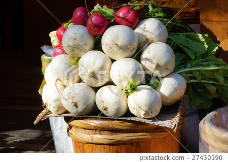 Red turnip and white turnip Red turnip and white turnip 27430190