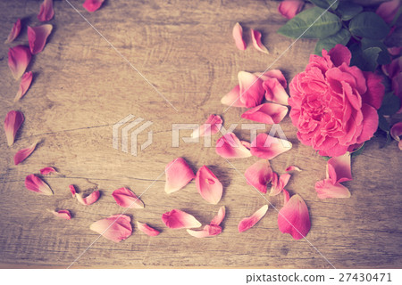 Still life,pink rose on grunge wood background Still life,pink rose on grunge wood background 27430471