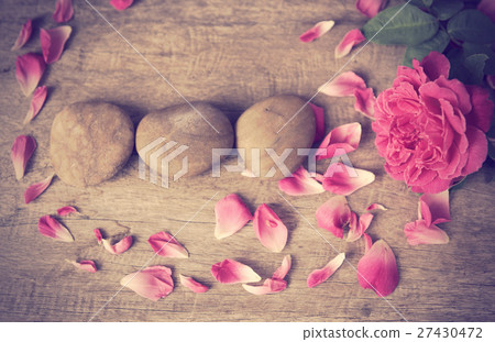 Still life,pink rose on grunge wood background 27430472
