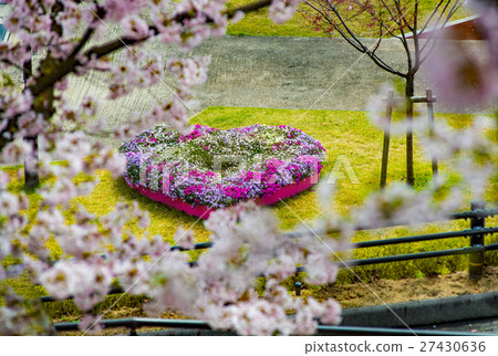Cherry blossoms of Onomichi Senkoji Park 27430636