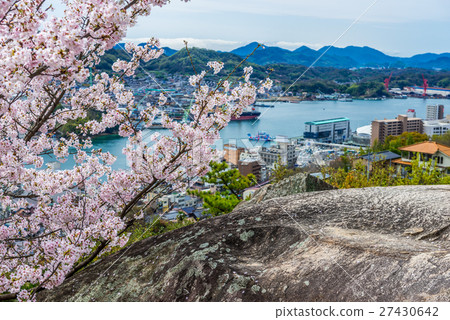 Cherry blossoms of Onomichi Senkoji Park 27430642