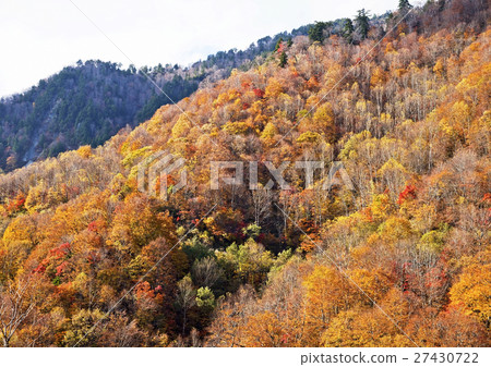 Fall of Shiga Kogen Fall of Shiga Kogen 27430722