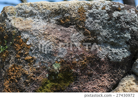 Rough rough skin 27430972