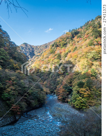 Yushin Valley 27431373