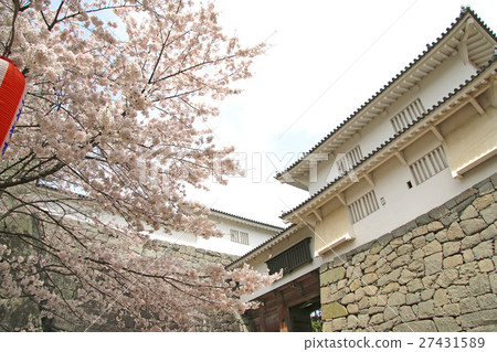 Spring Kasumigauru (Nihonmatsu-shi) 27431589