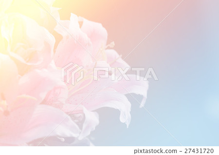 beautiful flowers beautiful flowers 27431720
