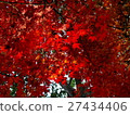Autumn leaves 27434406