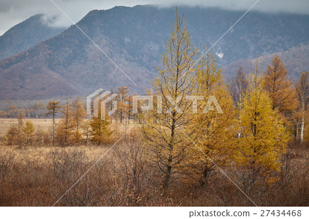 Aki Senjganagahara 2 Aki Senjganagahara 2 27434468