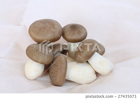 離褶傘 離褶傘 27435071