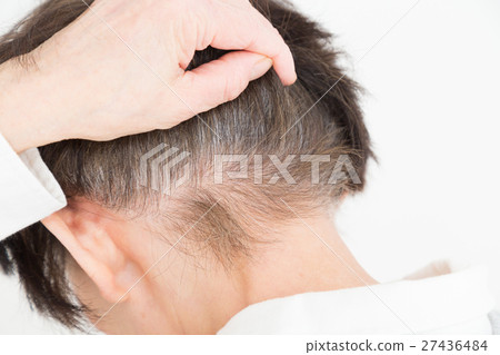 高級頭髮頭髮灰色 高級頭髮頭髮灰色 27436484