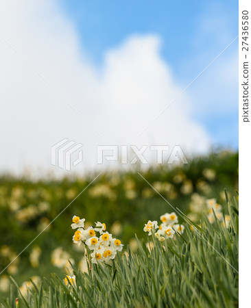 Nada Kuroiwa Water Sengoku Nada Kuroiwa Water Sengoku 27436580