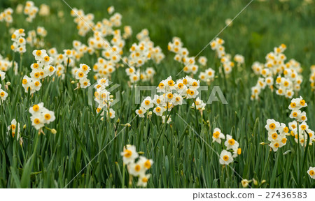 Nada Kuroiwa Water Sengoku Nada Kuroiwa Water Sengoku 27436583