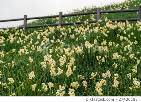 Nada Kuroiwa Water Sengoku Nada Kuroiwa Water Sengoku 27436585