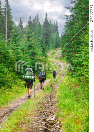 tourists with backpacks in forest rear view 27437771