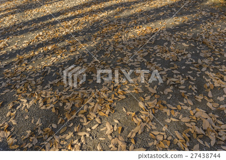 Autumn/winter image background dry cold Autumn/winter image background dry cold 27438744