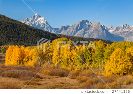 Teton Fall Landscape Teton Fall Landscape 27441336
