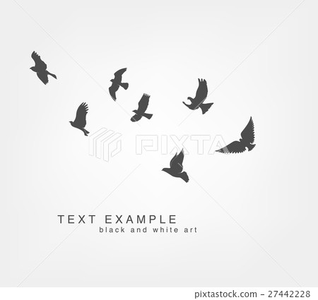 dark figures flying birds 27442228