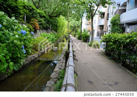 多摩堤津街 27443039