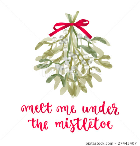 Mistletoe with red ribbon Mistletoe with red ribbon 27443407