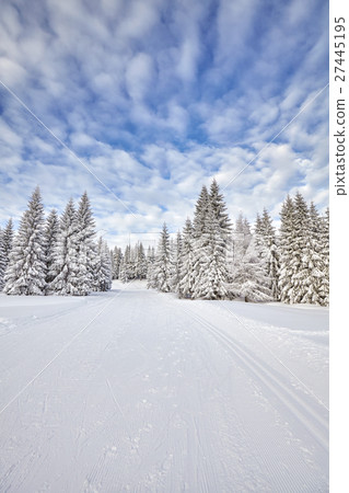 Winter landscape with cross-country skiing tracks. Winter landscape with cross-country skiing tracks. 27445195