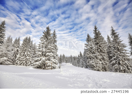 Winter landscape with snow covered trees Winter landscape with snow covered trees 27445196