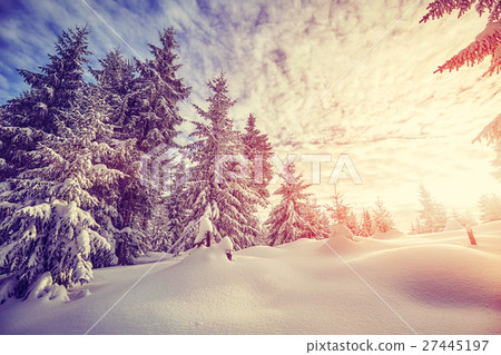 Color toned winter landscape at sunset. 27445197