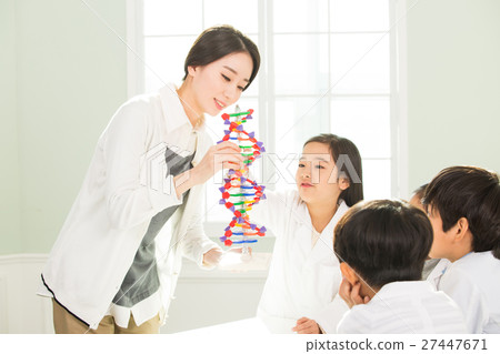 Young Students Learning About DNA With A Female Teacher Young Students Learning About DNA With A Female Teacher 27447671