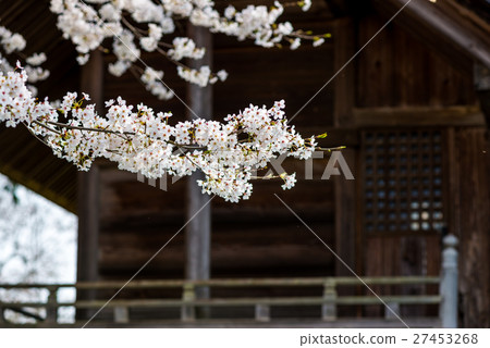 Iiyama春天城堡廢墟 27453268