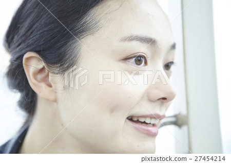 遊樂園摩天輪 遊樂園摩天輪 27454214
