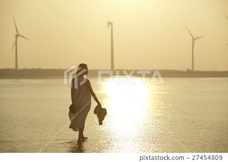 在台灣高見濕地觀光的女人 27454809