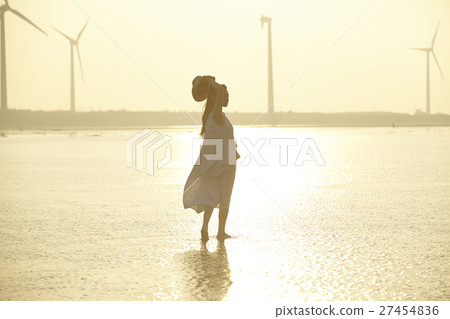 在台灣高見濕地觀光的女人 27454836