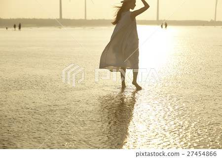 在台灣高見濕地觀光的女人 27454866