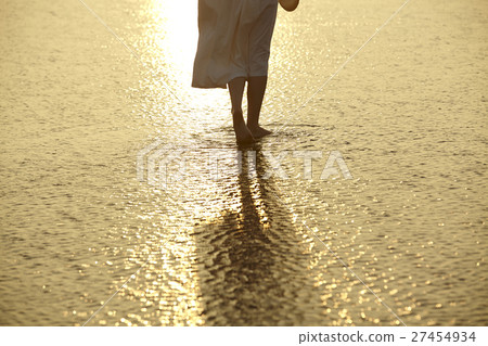 在台灣高見濕地觀光的女人 27454934