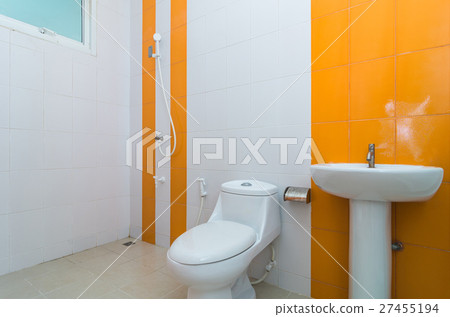 Luxury Interior bathroom 27455194