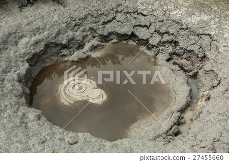 Mudpot in the Uzon Caldera. Kronotsky Nature 27455660
