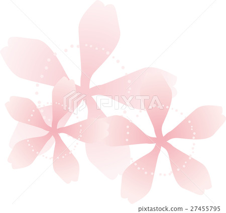 Cherry Blossoms Flower Tricolor Pink Cherry Blossoms Flower Tricolor Pink 27455795