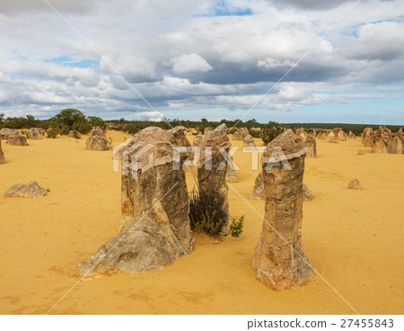 Pinnacles Desert in the Nambung National Park Pinnacles Desert in the Nambung National Park 27455843